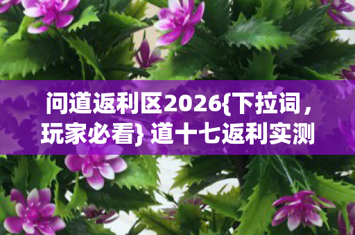 道十七返利实测与青春回忆图片