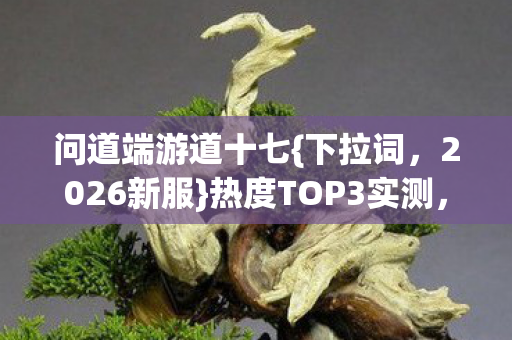 热度TOP3实测图片
