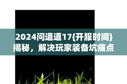 2024问道道17图片