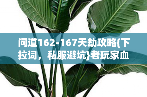 167天劫攻略图片