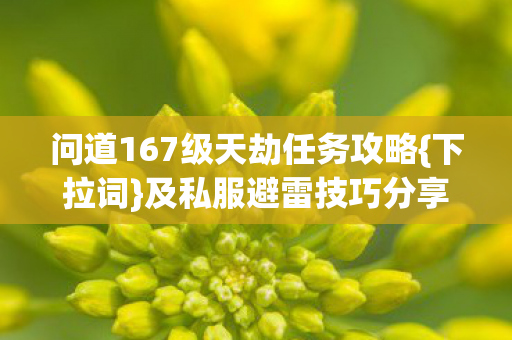 问道167级天劫任务攻略图片