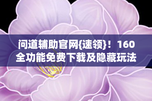 160全功能免费下载及隐藏玩法图片