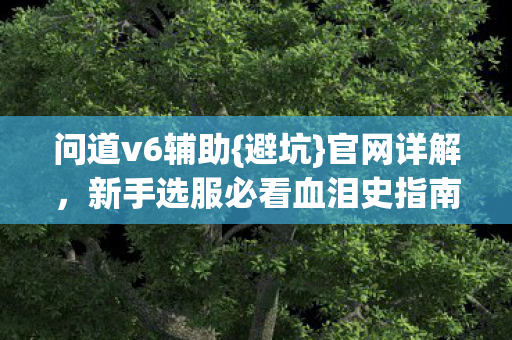 新手选服必看血泪史指南图片