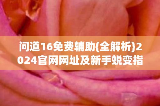2024官网网址及新手蜕变指南图片