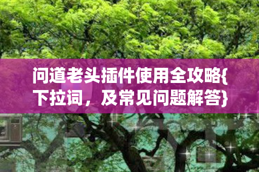 问道老头插件使用全攻略图片