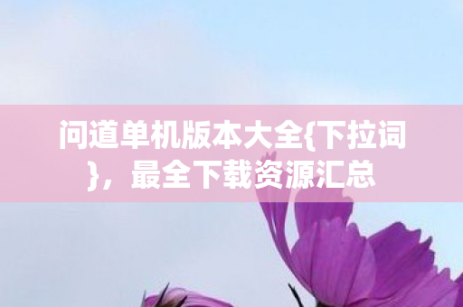 问道单机版本大全图片