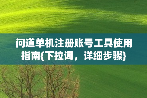 问道单机注册账号工具使用指南图片