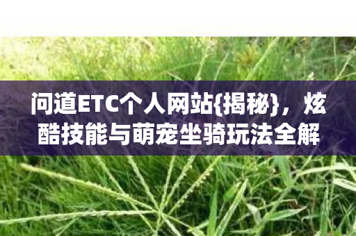 炫酷技能与萌宠坐骑玩法全解析图片
