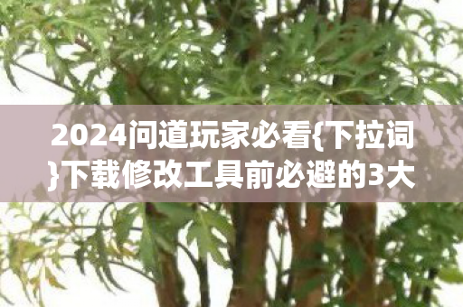 2024问道玩家必看{下拉词}下载修改工具前必避的3大坑