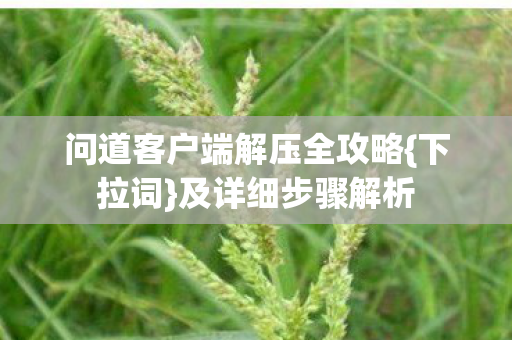 问道客户端解压全攻略{下拉词}及详细步骤解析