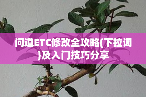 问道ETC修改全攻略图片