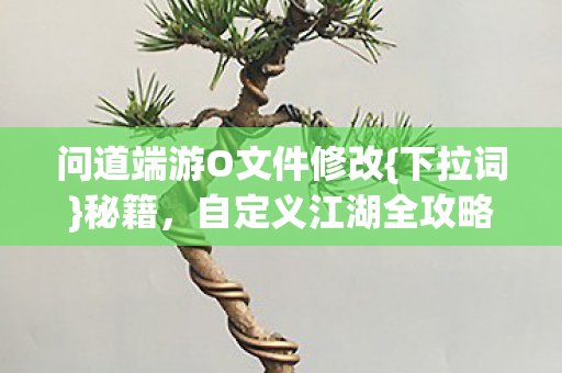 问道端游O文件修改图片