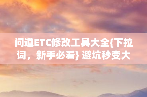 问道ETC修改工具大全图片