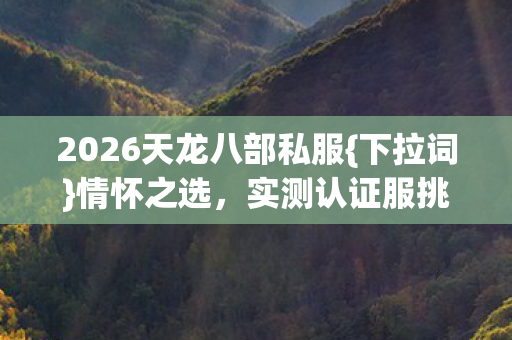 2026天龙八部私服图片