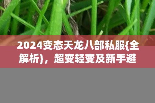 2024变态天龙八部私服图片