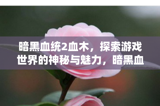 暗黑血统2血木，探索游戏世界的神秘与魅力，暗黑血统2，血木探索神秘与魅力，解锁游戏世界的奥秘