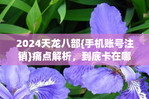 2024天龙八部图片