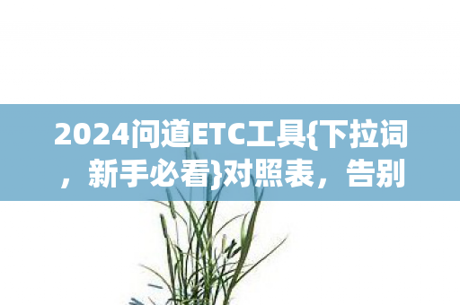 2024问道ETC工具图片