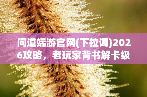 老玩家背书解卡级刷怪难题图片