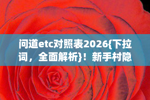 问道etc对照表2026图片