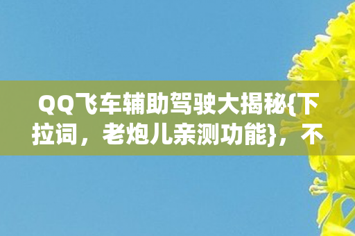 QQ飞车辅助驾驶大揭秘{下拉词，老炮儿亲测功能}，不玩亏大！