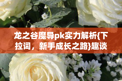龙之谷魔导pk实力解析{下拉词，新手成长之路}趣谈