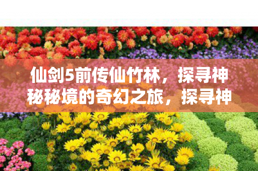 仙剑5前传仙竹林，探寻神秘秘境的奇幻之旅，探寻神秘秘境，仙剑5前传仙竹林奇幻之旅