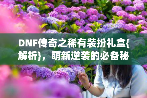 DNF传奇之稀有装扮礼盒{解析},萌新逆袭的必备秘籍 DNF传奇之稀有装扮礼盒{解析},萌新逆袭的必备秘籍