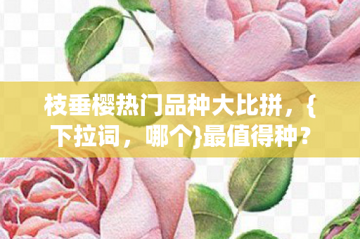 枝垂樱热门品种大比拼，{下拉词，哪个}最值得种？
