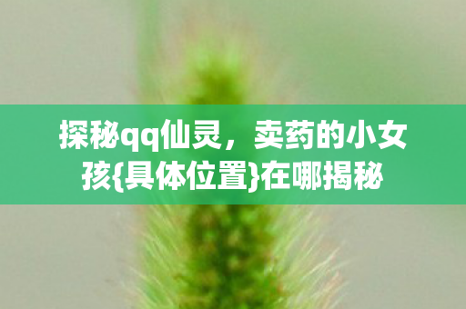 探秘qq仙灵,卖药的小女孩{具体位置}在哪揭秘 探秘qq仙灵,卖药的小女孩{具体位置}在哪揭秘
