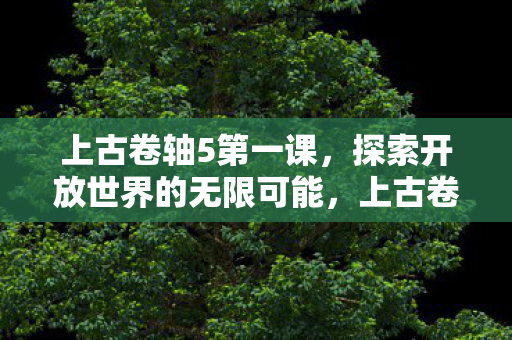 上古卷轴5第一课，探索开放世界的无限可能，上古卷轴5第一课，探索开放世界的无限可能