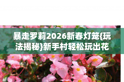 暴走罗莉2026新春灯笼{玩法揭秘}新手村轻松玩出花样