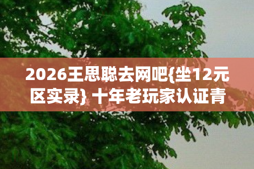 2026王思聪去网吧{坐12元区实录} 十年老玩家认证青春杀 2026王思聪去网吧{坐12元区实录} 十年老玩家认证青春杀