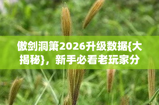 傲剑洞箫2026升级数据{大揭秘},新手必看老玩家分享 傲剑洞箫2026升级数据{大揭秘},新手必看老玩家分享