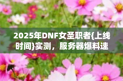 2025年DNF女圣职者{上线时间}实测，服务器爆料速看