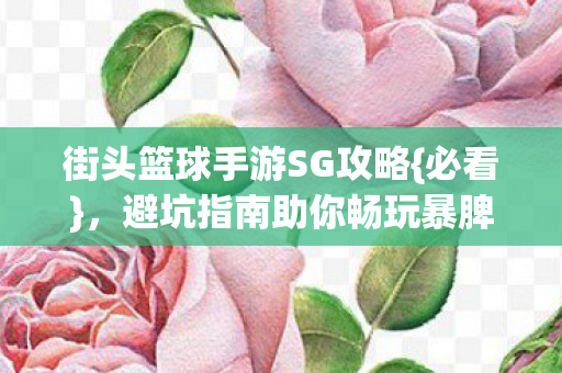 街头篮球手游SG攻略{必看}，避坑指南助你畅玩暴脾气服务器