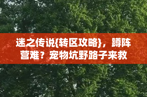 迷之传说{转区攻略},蹲阵营难?宠物坑野路子来救 迷之传说{转区攻略},蹲阵营难?宠物坑野路子来救