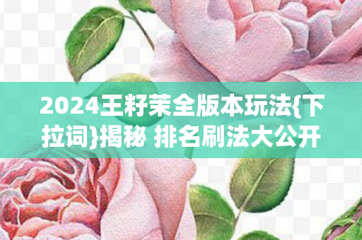 2024王籽茉全版本玩法{下拉词}揭秘 排名刷法大公开