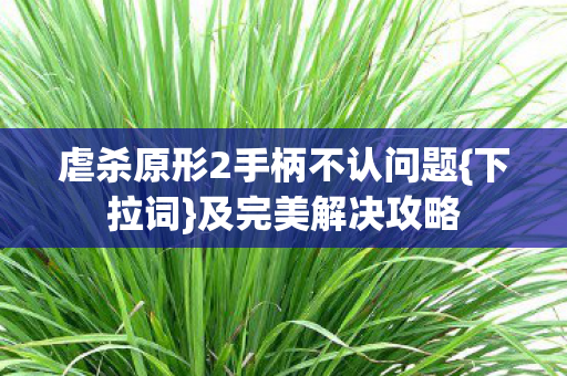 虐杀原形2手柄不认问题{下拉词}及完美解决攻略 虐杀原形2手柄不认问题{下拉词}及完美解决攻略