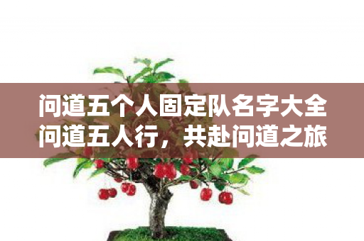 问道五个人固定队名字大全问道五人行，共赴问道之旅的固定队名字，问道五人行，共赴仙境之旅的固定队