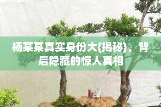 杨某某真实身份大{揭秘}，背后隐藏的惊人真相