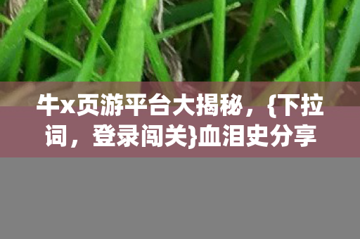 牛x页游平台大揭秘图片