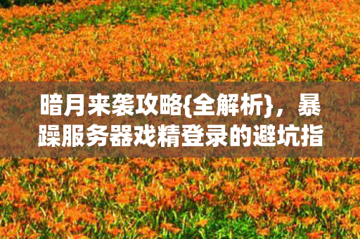 暴躁服务器戏精登录的避坑指南图片