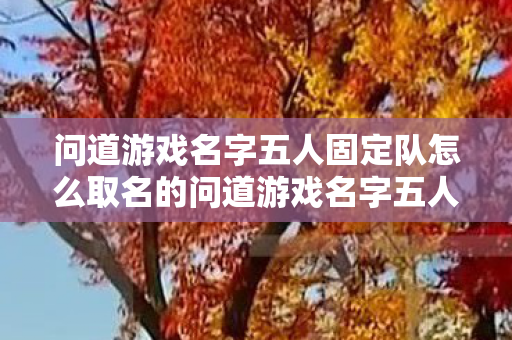 问道游戏名字五人固定队怎么取名的问道游戏名字五人固定队怎么取名，问道游戏五人固定队创意命名指南