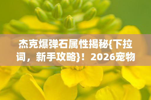 杰克爆弹石属性揭秘{下拉词，新手攻略}！2026宠物玩法轻松避坑