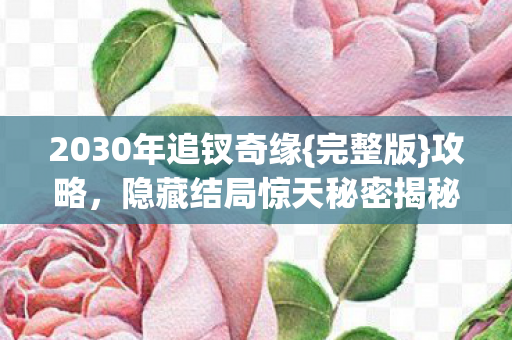 2030年追钗奇缘{完整版}攻略,隐藏结局惊天秘密揭秘 2030年追钗奇缘{完整版}攻略,隐藏结局惊天秘密揭秘