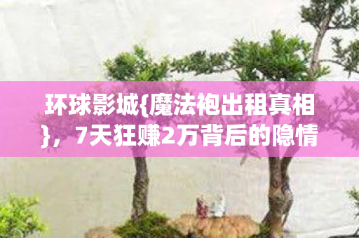 环球影城{魔法袍出租真相}，7天狂赚2万背后的隐情