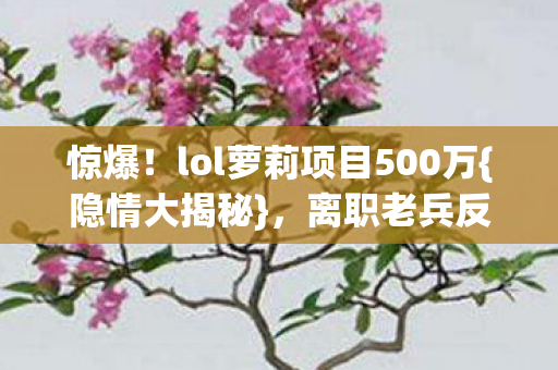 惊爆!lol萝莉项目500万{隐情大揭秘},离职老兵反应惊人! 惊爆!lol萝莉项目500万{隐情大揭秘},离职老兵反应惊人!