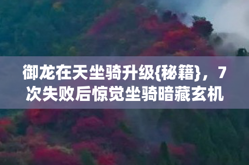 御龙在天坐骑升级{秘籍}，7次失败后惊觉坐骑暗藏玄机