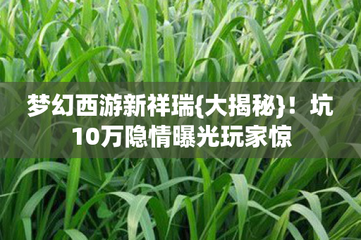 梦幻西游新祥瑞{大揭秘}！坑10万隐情曝光玩家惊